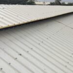 WhatsApp Image 2026-01-13 at 10.17.05 AM (1)